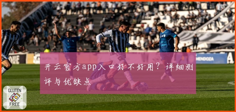 开云官方app入口好不好用？详细测评与优缺点