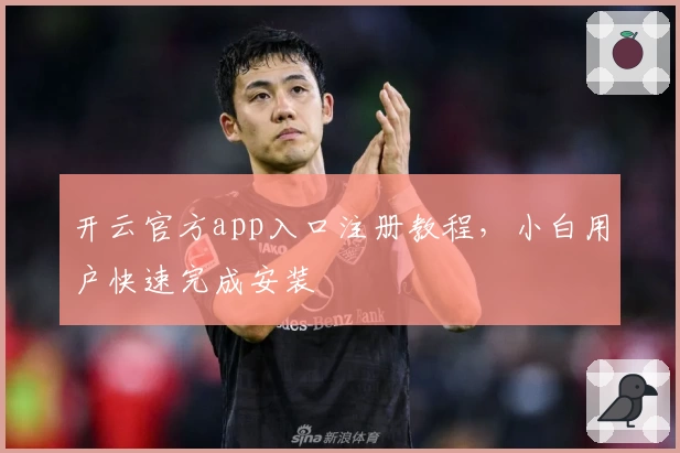 开云官方app入口注册教程，小白用户快速完成安装