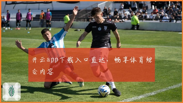 开云app下载入口直达，畅享体育综合内容