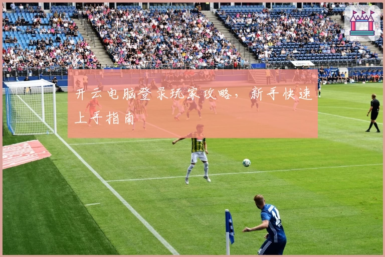 开云电脑登录玩家攻略，新手快速上手指南