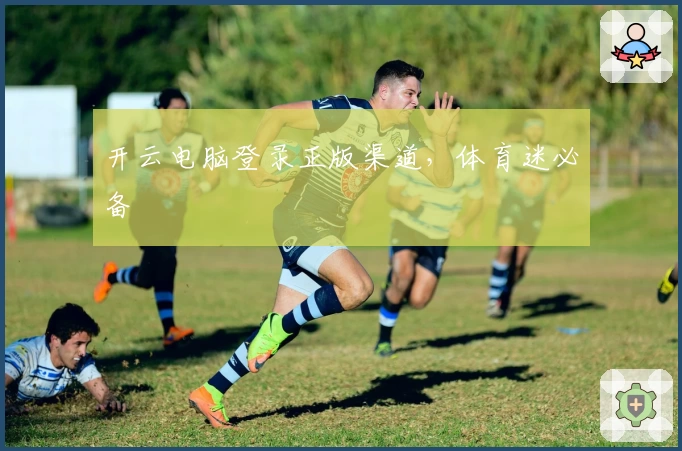开云电脑登录正版渠道,体育迷必备