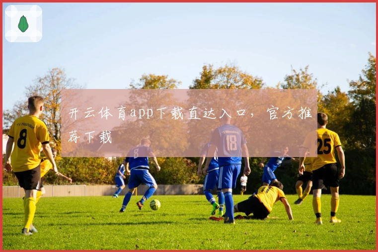 开云体育app下载直达入口，官方推荐下载