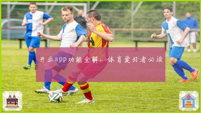 开云app功能全解，体育爱好者必读